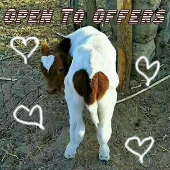 Feel Free To Send Me Offers! - Picture 1 of 1